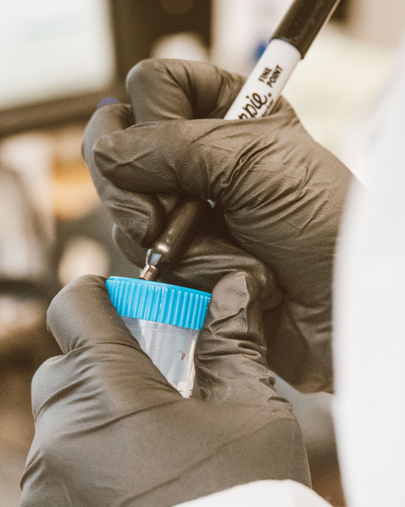 A gloved hand writing on a sample label in a laboratory