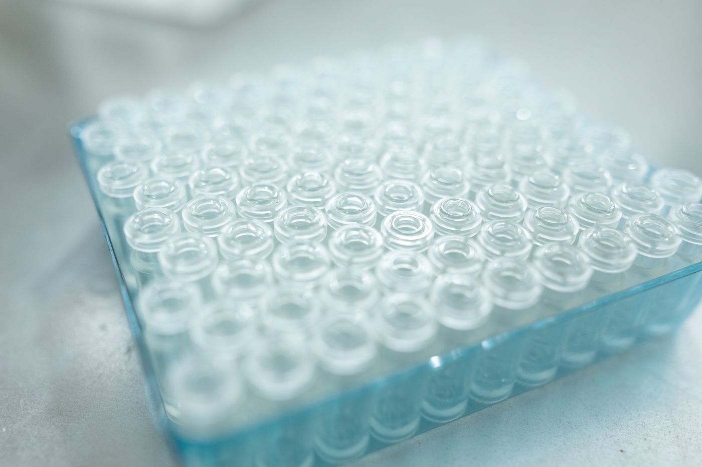 Glass vials arranged in a tray, seen from above